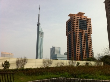 IMG_1966.jpg