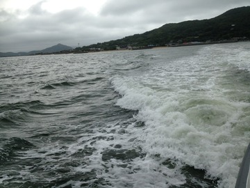 IMG_7873.jpg
