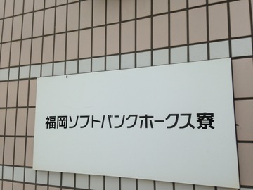 IMG_6137.jpg
