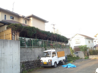pandahigasi0413-13-0.jpg