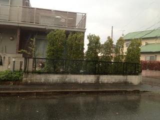pandanishi0414-13-4.jpg