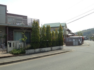 pandanishi0414-13-5.jpg